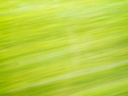 포토 JPG 해외이미지 식물 디자인 백그라운드 이동 컨셉 잎 패턴 밭 모션 자연 벽지 바람 추상 미술 사람없음 야외 장식 초록색 여름 컬러풀 봄 줄무늬 활발 흐름 자유 가을 시골 신선 속도 질감 비전 부드러움 통과 대각선 무료 블러 스타일 해외202004 해외포토 자연요소 계절 선 컬러 무늬 농업 날씨 문화예술 감각 생태계 파일형식 이미지허브