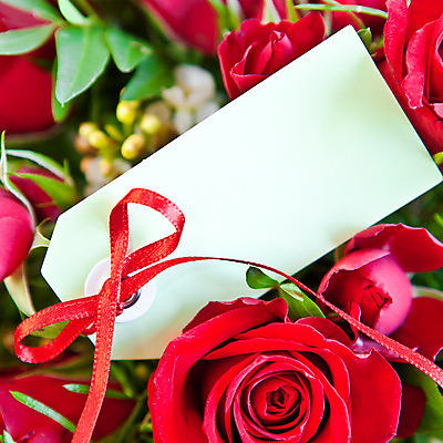 포토 JPG 해외이미지 꽃 리본 꽃다발 백그라운드 잎 선물 사랑 사람없음 빨간색 초록색 장미 우주 벚꽃 신용카드 개화 활 감사 해외202004 해외포토 식물 감정 컬러 금융 파일형식 이미지허브