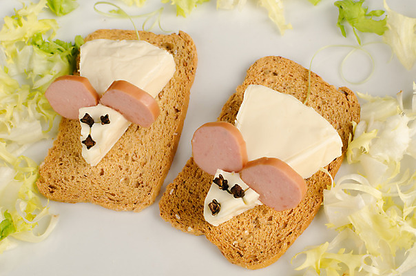 포토 JPG 해외이미지 접시 음식 빵 부분 치즈 요리 사람없음 장식 가로 크래커 식사 소시지 쥐 상추 카나페 서빙 특별함 해외202004 해외포토 식기 컨셉 채소 유제품 서양음식 쿠키 가공식품 설치류 파일형식 이미지허브