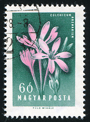 포토 JPG 해외이미지 식물 꽃잎 꽃 줄기 꽃무늬 자연 봉투 사람없음 수확 골동품 벚꽃 메시지 역사 물개 편지 꽃집 복고 엽서 우표 헝가리 내추럴 옛날 해외202004 해외포토 무늬 농업 포유류 상점 바다동물 생태계 동유럽 파일형식 이미지허브