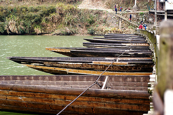 포토 JPG 해외이미지 꽃 사람없음 벚꽃 복숭아 자두 해외202004 해외포토 식물 과일 파일형식 이미지허브