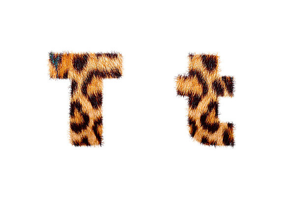 포토 JPG 해외이미지 동물 디자인 알파벳 아시아 야생동물 백그라운드 컨셉 패턴 텍스트 학교 아프리카 추상 털 동물원 미술 사람없음 장식 세트 독서 유행 자료 줄무늬 코트 기록 인쇄 만화 편지 심볼 오브젝트 사인 질감 표범 양모 고립 그런지 스타일 해외202004 해외포토 영어 교육 나라 무늬 포유류 문화예술 외투 직물 파일형식 이미지허브