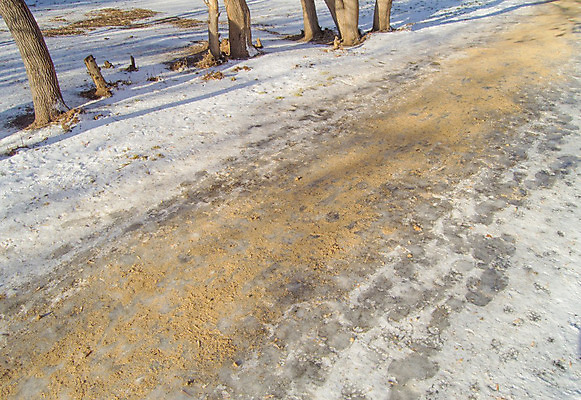 포토 JPG 해외이미지 나무 계절 공원 도로 모래 조각 이동 겨울 패턴 자국 자연 표면 날씨 추상 거리 사람없음 야외 갈색 유행 냉동 얼음 산책 회색 추위 가을 흰색 시골 오솔길 아스팔트 방향 뿌리기 속도 서리 타이어 트랙 소금 먼지 온도 골절 땅바닥 해외202004 해외포토 자연요소 식물 공공시설 길 컬러 컨셉 무늬 의학 교통시설 모션 휴식 바닥 생태계 파일형식 이미지허브