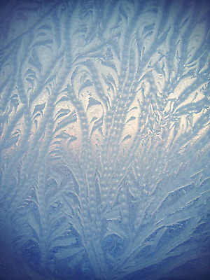 포토 JPG 해외이미지 계절 백그라운드 크리스마스 겨울 패턴 창문 자연 유리 날씨 추상 새해 사람없음 파란색 빛 반짝임 햇빛 냉동 얼음 추위 크리스탈 질감 서리 상승 온도 내추럴 해외202004 해외포토 자연요소 기념일 컬러 컨셉 무늬 모션 재질 태양 광석 생태계 파일형식 이미지허브