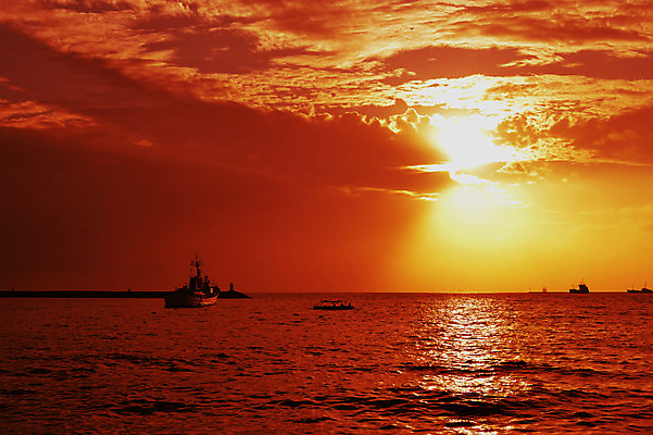 포토 JPG 해외이미지 구름 실루엣 아시아 모래 파도 바다 여행 백그라운드 오렌지 자연 하늘 날씨 휴가 풍경 사람없음 빨간색 물 여름 빛 컬러풀 햇빛 태양 반사 노란색 평화 일출 맑음 황혼 일몰 새벽 황금 휴양지 수평선 해외202004 해외포토 자연요소 계절 나라 컬러 컨셉 과일 촬영기법 노을 장소 생태계 파일형식 이미지허브