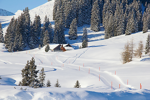 포토 JPG 해외이미지 계절 유럽 스포츠 여행 겨울 자연 하늘 휴가 스키 휴식 산 파노라마 풍경 경사 사람없음 야외 파란색 평화 냉동 얼음 침묵 추위 흰색 스노우보드 가루 고도 스위스 휴양지 알프스 선로 절정 눈내림 해외202004 해외포토 자연요소 나라 컬러 컨셉 겨울스포츠 눈_날씨 촬영기법 소리 장소 보드_스포츠 생태계 파일형식 이미지허브