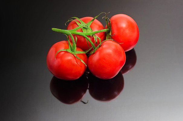 포토 JPG 해외이미지 식물 음식 잎 농업 토마토 채소 종류 요리 사람없음 샐러드 수확 나뭇가지 신선 상품 다발 해외202004 해외포토 나무 산업 파일형식 이미지허브