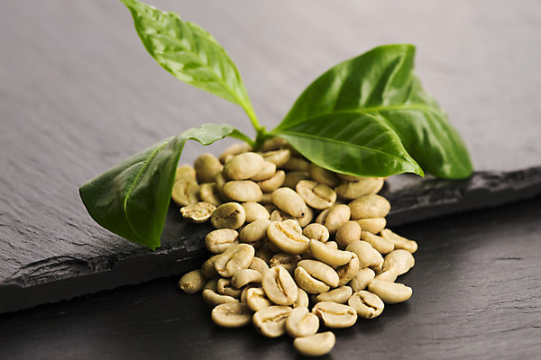 포토 JPG 해외이미지 문화 커피 음료 잎 농업 다이어트 재료 콩 건조 건강 사람없음 목재 가로 초록색 농작물 주방 숟가락 식사 침묵 카페 수확 시골 신선 그룹 몸무게 낟알 양동이 오브젝트 국자 유기농 날것 흙더미 모카 적자 카페인 해외202004 해외포토 나무 식물 웰빙 산업 컬러 주방용품 곡류 수저 상점 소리 흙 파일형식 더미 이미지허브