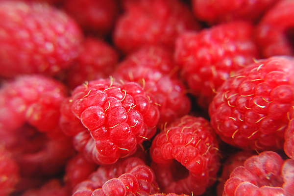 포토 JPG 해외이미지 식물 계절 열매 음식 분홍색 백그라운드 잎 다이어트 과일 재료 자연 디저트 건강 사람없음 목재 가로 빨간색 여름 컬러풀 바구니 정원 수확 흰색 신선 그룹 달콤 맛 유기농 질감 날것 산딸기 내추럴 고립 숙성 채식주의자 많음 비건 해외202004 해외포토 나무 웰빙 컬러 컨셉 농업 생태계 채식 파일형식 이미지허브