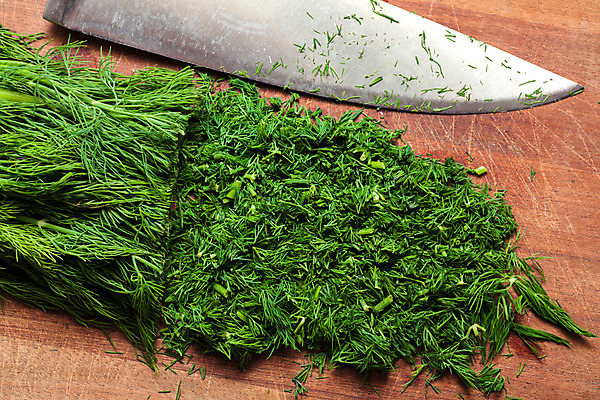 포토 JPG 해외이미지 식물 음식 백그라운드 잎 꽃무늬 다이어트 채소 재료 자연 요리 사람없음 목재 초록색 주방 나뭇가지 시골 신선 고명 양념 조미료 다발 허브 향신료 상쾌 유기농 향기 건강식 딜 채식주의자 해외202004 해외포토 나무 웰빙 꽃 감정 컬러 무늬 건강 생태계 채식 냄새 향미료 파일형식 이미지허브