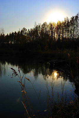 포토 JPG 해외이미지 나무 호수 파도 잎 자연 하늘 표면 풍경 사람없음 야외 초록색 물 여름 파란색 햇빛 반사 환경 침묵 자유 시골 숲 땅 장면 멀리 내추럴 해외202004 해외포토 자연요소 식물 계절 바다 컬러 컨셉 태양 소리 생태계 파일형식 이미지허브