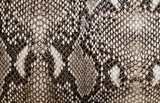 포토 JPG 해외이미지 동물 디자인 야생동물 조각 백그라운드 컨셉 패턴 일러스트 파충류 자연 벽지 추상 미술 사람없음 장식 반려동물 유행 핸드백 직물 독약 거친 뱀 보호 위험 가죽 피부 타일 묘사 질감 눈금 생물학 육식동물 숨김 내추럴 감싸기 동물상 이국적 인공 오싹 해외202004 해외포토 교육 무늬 가방 모션 문화예술 신체부위 조형물 생태계 파일형식 이미지허브