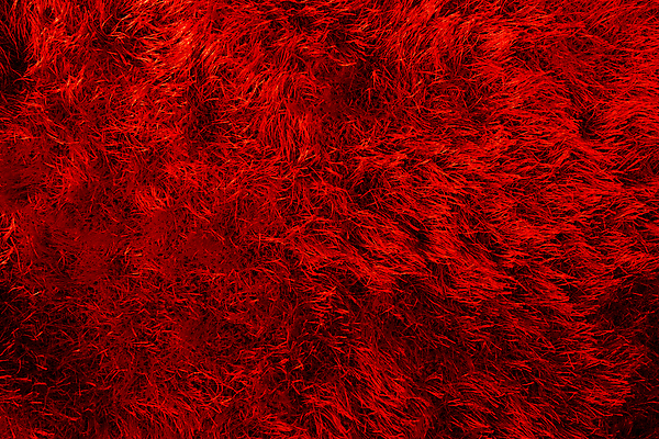 포토 JPG 해외이미지 백그라운드 겨울 곡선 벽지 표면 추상 새로움 털 흑백 미술 사람없음 빨간색 빛 유행 우주 축제 웹 공백 흰색 직물 파마 실 은색 볼륨 순수 질감 서식 서리 합성 부드러움 솜털 양모 섞기 쉬운 인공 혼란 해외202004 해외포토 헤어스타일 계절 선 컬러 컨셉 무늬 인터넷 문화예술 촬영기법 감각 파일형식 이미지허브