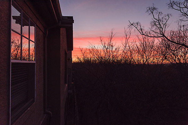 포토 JPG 해외이미지 나무 구름 외관 계절 공원 백그라운드 겨울 창문 자연 아파트 주택 안테나 풍경 사람없음 야외 건물 목재 옆모습 초록색 도시풍경 반사 일출 정원 미국 블록 추위 발코니 도시 재산 콘도 커뮤니티 리빙 이웃 내추럴 벌거벗은 복잡 텍사스 해외202004 해외포토 자연요소 식물 건축물 공공시설 뷰포인트 컬러 컨셉 북아메리카 재료 통신 숙소 금융 노을 생태계 파일형식 이미지허브