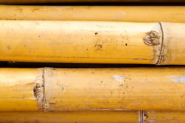 포토 JPG 해외이미지 나무 식물 전통 아시아 문화 선 벽 백그라운드 패턴 자연 동양인 사람없음 목재 장식 울타리 갈색 노란색 정원 일본 중국 성장 나뭇가지 원형 막대기 숲 다발 묶기 대나무 보따리 유기농 원예 질감 나무껍질 내추럴 그런지 옛날 직진 해외202004 해외포토 도형 웰빙 나라 컬러 무늬 재료 모션 인종 취미 담장 껍질 생태계 파일형식 이미지허브