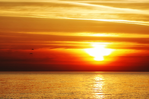 포토 JPG 해외이미지 파도 바다 여행 오렌지 자연 하늘 휴가 풍경 사람없음 물 여름 태양 평화 일출 황혼 일몰 새벽 서핑 해외202004 해외포토 자연요소 계절 컨셉 과일 노을 수상스포츠 생태계 파일형식 이미지허브