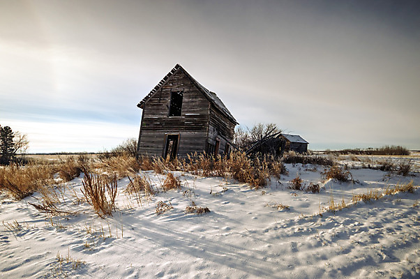 포토 JPG 해외이미지 식물 계절 산업 지구 음식 백그라운드 잎 밭 농업 채소 자연 하늘 건강 풍경 사람없음 야외 초록색 여름 파란색 컬러풀 태양 농장 농경지 갈색 환경 정원 흙 봄 수확 성장 시골 신선 땅 시리얼 유기농 내추럴 땅바닥 밭일 쟁기 줄서기 수평선 세련 해외202004 해외포토 자연요소 웰빙 컬러 모션 바닥 생태계 파일형식 이미지허브
