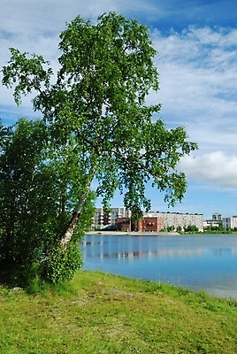 포토 JPG 해외이미지 나무 공원 호수 잎 건축양식 주택 사람없음 야외 건물 초록색 물 반사 연못 도시 타운 자작나무 해외202004 해외포토 자연요소 식물 건축물 공공시설 건축 컬러 파일형식 이미지허브