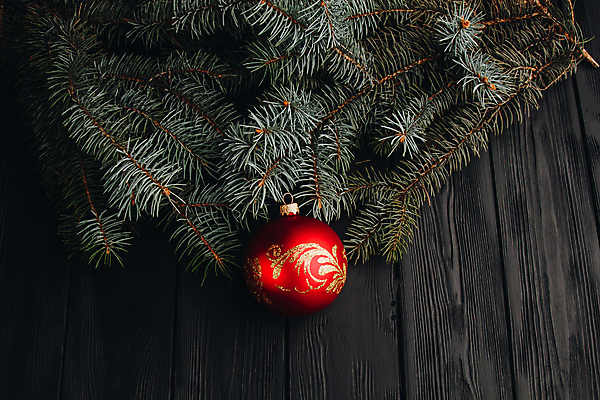 포토 JPG 해외이미지 나무 전통 디자인 배너 계절 백그라운드 크리스마스 겨울 공 추상 휴가 새로움 기념 선물 이벤트 사람없음 목재 장식 빨간색 상자 장난감 파티 우주 어둠 기쁨 추위 흰색 나뭇가지 시골 축하 인사 신용카드 황금 우아함 정상 연도 오브젝트 고립 블러 카피스페이스 해외202004 해외포토 식물 기념일 감정 컬러 컨셉 무늬 재료 금융 공백 예절 파일형식 이미지허브