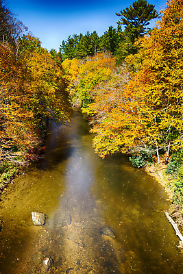 포토 JPG 해외이미지 단풍 잎 자연 휴가 휴식 사람없음 야외 가로 강 컬러풀 노란색 폭포 가을 개울 랜드마크 해외202004 해외포토 식물 계절 컬러 컨셉 생태계 파일형식 이미지허브