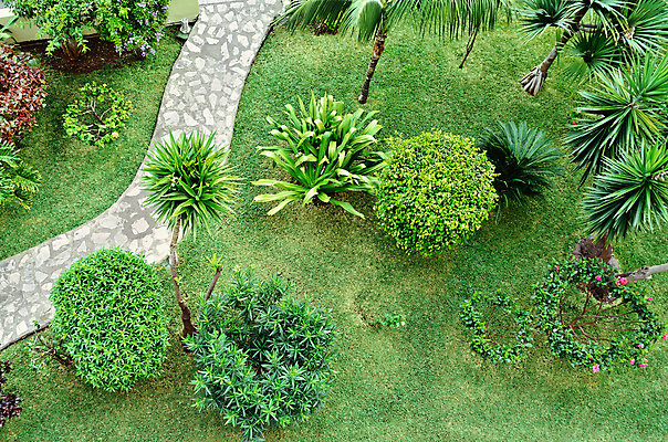 포토 JPG 해외이미지 나무 식물 공원 길 잎 자연 손바닥 풍경 잔디 사람없음 야외 목재 초록색 여름 환경 정원 나뭇가지 신선 개화 숲 원예 조경 장면 뒤뜰 땅바닥 영원 세련 해외202004 해외포토 손 계절 공공시설 꽃 컬러 재료 바닥 취미 생태계 파일형식 이미지허브