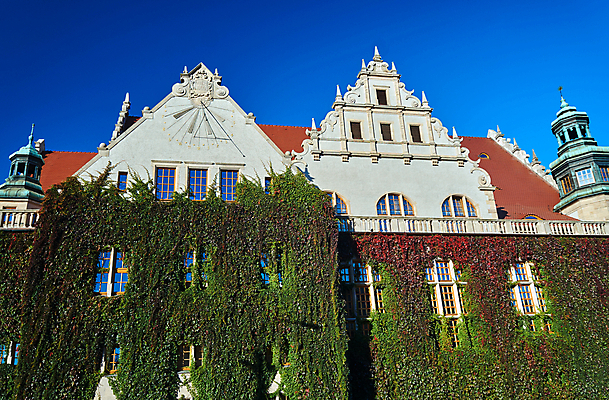 포토 JPG 해외이미지 식물 유럽 벽 시계 잎 건축양식 창문 하늘 사람없음 건물 탑 대학교 포도나무 폴란드 해외202004 해외포토 건축물 건축 나라 학교 과일나무 파일형식 이미지허브