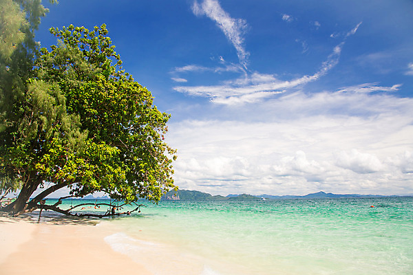 포토 JPG 해외이미지 나무 식물 공원 물결 바다 섬 여행 잎 태국 자연 하늘 휴가 휴식 항해 파노라마 동양인 풍경 사람없음 야외 초록색 물 여름 파란색 산호 숲 천국 안다만 전국 해외202004 해외포토 자연요소 계절 공공시설 아시아 컬러 컨셉 배_교통 촬영기법 인종 자포동물 생태계 파일형식 이미지허브