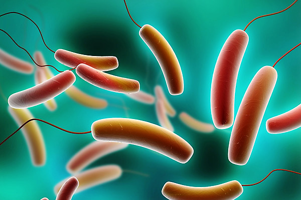 포토 JPG 해외이미지 과학 신체 일러스트 생물 세포 건강 현미경 사람 사람없음 3D 바이러스 질병 중개인 생물학 전자 감염 미생물 박테리아 기생충 셀룰러 해외202004 해외포토 직업 교육 의학 실험기구 디지털합성 파일형식 이미지허브