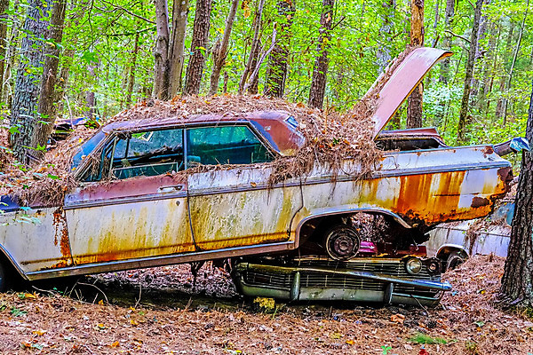 포토 JPG 해외이미지 교통시설 자동차 자연 사람없음 야외 금속 손상 수확 골동품 시골 클래식 폐기물 숲 버리기 부식 복고 한조각 고물상 구식 그런지 깨짐 방치 옛날 자동 철강 해외202004 해외포토 1 육상교통 교통 컨셉 농업 모션 재질 쓰레기 시설 생태계 파일형식 이미지허브