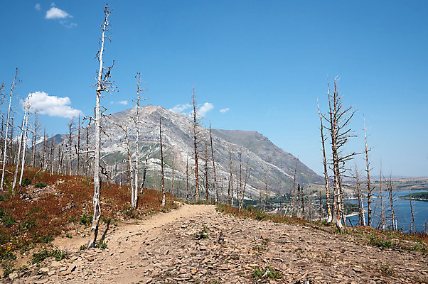 포토 JPG 해외이미지 길 여행 캐나다 자연 휴가 산 파노라마 국립공원 풍경 사람없음 야외 관광지 환경 트래킹 하이킹 시골 오솔길 생태계 암초 내추럴 방법 앨버타 산맥 해외202004 해외포토 공원 북아메리카 레저 촬영기법 파일형식 이미지허브