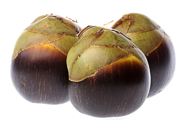 포토 JPG 해외이미지 음료 음식 바다 농업 다이어트 과일 자연 건강 손바닥 동양인 사람없음 신선 닫기 달콤 맛 설탕 코코넛 고립 숙성 이국적 해외202004 해외포토 손 산업 컨셉 모션 인종 생태계 파일형식 이미지허브