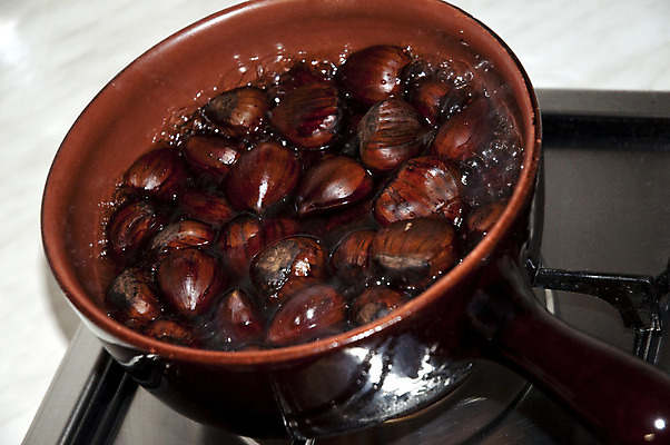 포토 JPG 해외이미지 식물 계절 음식 다이어트 과일 자연 사람없음 갈색 가을 신선 해외202004 해외포토 컬러 건강 생태계 파일형식 이미지허브