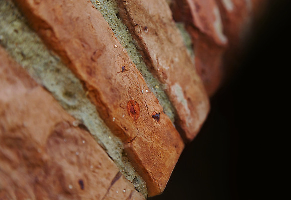 포토 JPG 해외이미지 벽 백그라운드 패턴 건축양식 벽지 표면 날씨 벽돌 바닥 석조 사람없음 빨간색 갈색 검은색 페인트 블록 수확 골동품 흰색 도시 거친 버리기 부식 아치 질감 복고 정사각형 시멘트 벽돌담 구식 그런지 깨짐 석고 옛날 회복 노화 효과 해외202004 해외포토 도형 건축 컬러 컨셉 무늬 농업 모션 담장 파일형식 이미지허브