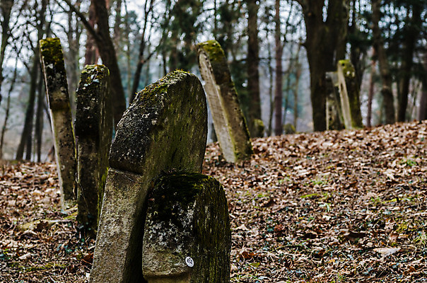 포토 JPG 해외이미지 꽃 기독교 종교 지구 백그라운드 십자가 부활절 사람없음 목재 조각상 검은색 성경 바위 기도 죽음 예수 영혼 목사 심볼 애도 신성 땅파기 신앙심 옛날 장례식 오싹 해외202004 해외포토 나무 식물 기념일 컬러 재료 종교용품 조형물 신_종교 성직자 파일형식 이미지허브