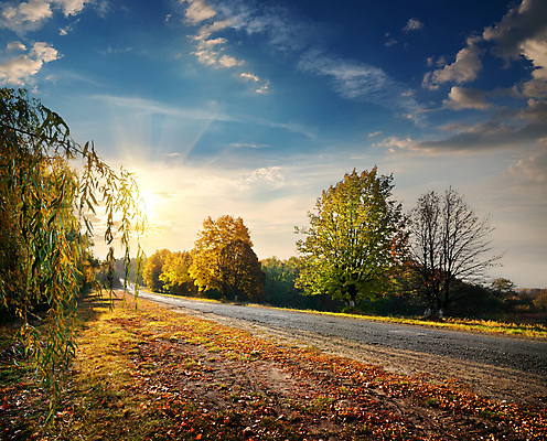 포토 JPG 해외이미지 주간 나무 구름 도로 사람없음 야외 햇빛 가을풍경 맑음 가을 해외202004 해외포토 자연요소 식물 계절 길 교통시설 날씨 풍경 태양 파일형식 가을_계절 이미지허브