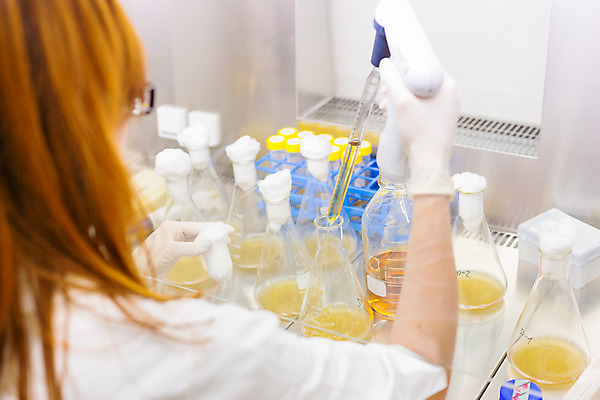 포토 JPG 해외이미지 여자 실험 한명 들기 상반신 성인 뒷모습 장비 실험실 연구원 플라스크 피펫 성인여자한명만 해외202004 해외포토 직업 1 뷰포인트 모션 실험기구 사람 여자한명만 성인여자만 파일형식 이미지허브