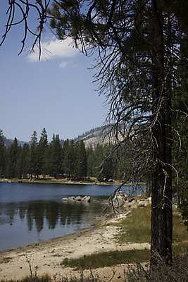 포토 JPG 해외이미지 나무 유럽 호수 여행 하늘 휴가 산 국립공원 갈대 풍경 사람없음 야외 초록색 물 파란색 관광지 반사 환경 계곡 침묵 탐험 황무지 숲 순수 언덕 대칭 수평선 스코틀랜드 완전 산맥 해외202004 해외포토 자연요소 식물 공원 나라 컬러 컨셉 영국 소리 파일형식 이미지허브