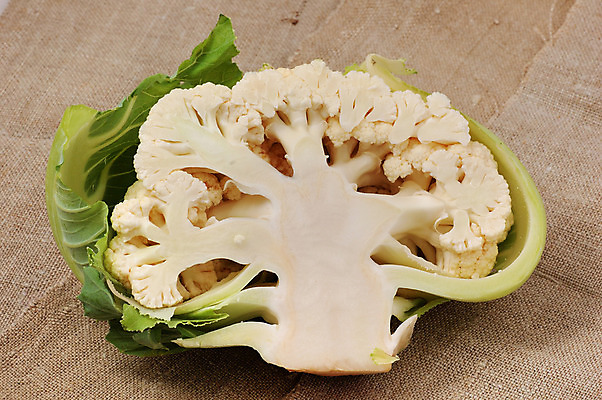 포토 JPG 해외이미지 식물 동물 아이콘 꽃 음식 백그라운드 잎 다이어트 채소 공장 자연 주택 건강 요리 사람없음 초록색 머리 보라색 식사 침묵 성장 흰색 신선 변화 다발 먹기 은박지 묘사 유기농 성분 고립 해외202004 해외포토 웰빙 컬러 컨셉 공업 모션 건물 신체부위 소리 생태계 파일형식 이미지허브