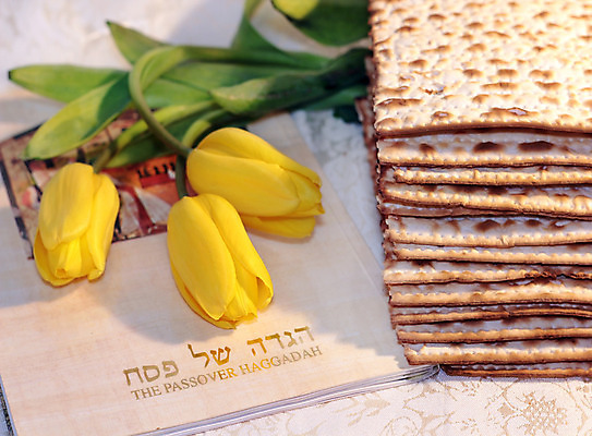 포토 JPG 해외이미지 전통 꽃 종교 음식 빵 백그라운드 패턴 휴가 이집트 인종 사람없음 장식 노란색 크래커 축제 식사 봄 빵집 튤립 기도 축하 영혼 역사 밀 먹기 심볼 질감 정사각형 유대인 노예 유월절 유태교 이스라엘 해외202004 해외포토 도형 식물 계절 컬러 컨셉 무늬 모션 아프리카 곡류 사람 쿠키 상점 서아시아 파일형식 이미지허브