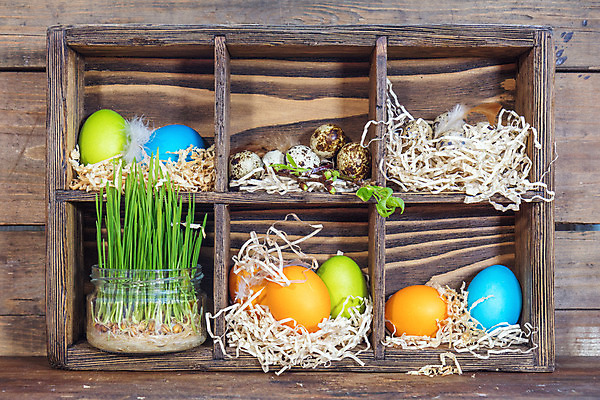 포토 JPG 해외이미지 전통 디자인 계절 꽃 행복 음식 백그라운드 컨셉 탁자 휴가 부활절 미술 이벤트 사람없음 목재 장식 초록색 파란색 컬러풀 갈색 노란색 계란 축제 봄 흰색 시골 축하 토끼 코드 둥지 시원함 심볼 귀 내추럴 해외202004 해외포토 나무 식물 기념일 감정 컬러 가구 재료 포유류 문화예술 신체부위 반려동물 알 파일형식 이미지허브