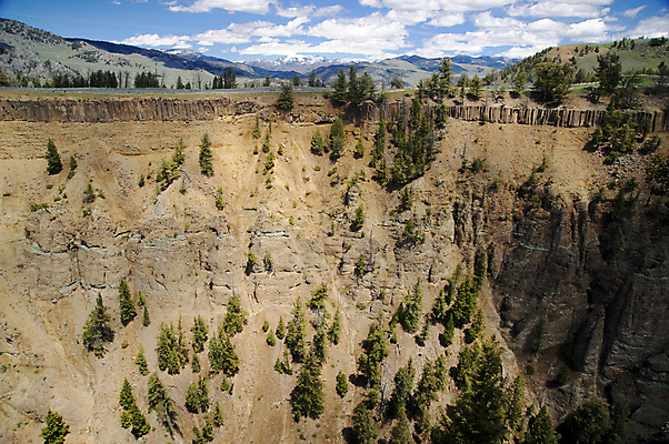 포토 JPG 해외이미지 나무 벽 자연 하늘 산 풍경 사람없음 파란색 갈색 노란색 골짜기 미국 황무지 언덕 화산 와이오밍 지질학 현무암 해외202004 해외포토 식물 교육 컬러 북아메리카 생태계 화산암 파일형식 이미지허브