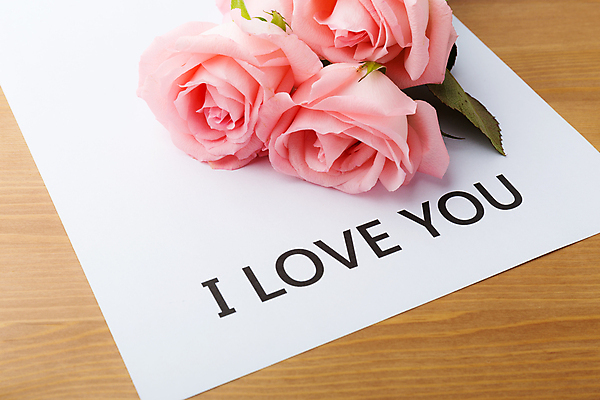 포토 JPG 해외이미지 디자인 꽃잎 꽃 행복 포스터 종이 분홍색 꽃다발 컨셉 꽃무늬 자연 발렌타인데이 사랑 사람없음 장미 우주 벚꽃 흰색 물방울 표현 신선 오픈 신용카드 메시지 닫기 이슬 심볼 질감 냄새 부드러움 넘어짐 완벽 스타일 해외202004 해외포토 식물 감정 컬러 무늬 모션 데이이벤트 금융 감각 생태계 파일형식 이미지허브