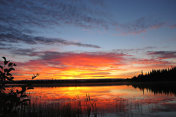 포토 JPG 해외이미지 나무 구름 실루엣 호수 파도 여행 잎 오렌지 자연 하늘 아침 휴가 휴식 풍경 사람없음 빨간색 물 여름 파란색 빛 강 컬러풀 햇빛 태양 반사 노란색 여행객 평화 일출 일몰 꿈 분위기 저녁 상승 북쪽 수평선 해외202004 해외포토 주간 자연요소 식물 계절 바다 컬러 컨셉 과일 촬영기법 사람 노을 야간 방향 생태계 파일형식 이미지허브
