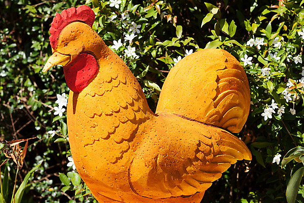 포토 JPG 해외이미지 동물 아이콘 별 백그라운드 오렌지 불 미래 염소 저울 어류 사람없음 세트 우주 게 재산 황금 사자 전갈 쌍둥이 양동이 심볼 사인 코스모스 황소 점성술 신화 천문학 양자리 물병자리 사자자리 처녀자리 염소자리 쌍둥이자리 전갈자리 천칭자리 물고기자리 암 황소자리 월 궁수 램 해외202004 해외포토 자연요소 교육 꽃 컨셉 절지류 과일 포유류 가족 갑각류 금융 수중동물 별자리 날짜 소 질병 파일형식 이미지허브