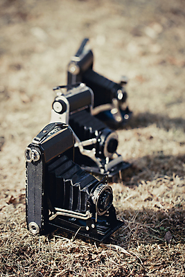 포토 JPG 해외이미지 디자인 백그라운드 사람없음 수확 필름 오브젝트 복고 셔터 스타일 해외202004 해외포토 농업 파일형식 이미지허브