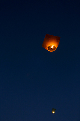 포토 JPG 여행 불교 밤하늘 풍경 사람없음 야외 봄 야간 경상북도 소원 풍등 풍등날리기 대구시 풍등축제 대구풍등축제 두류공원 국내포토 자연요소 계절 공원 종교 하늘 조명 한국 축제 경상도 등축제 대구_경상북도 대구_한국 파일형식