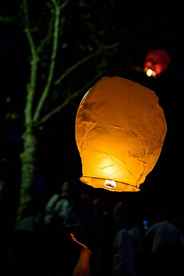 포토 JPG 여행 불교 밤하늘 풍경 사람없음 야외 봄 야간 경상북도 소원 풍등 풍등날리기 대구시 풍등축제 대구풍등축제 두류공원 국내포토 자연요소 계절 공원 종교 하늘 조명 한국 축제 경상도 등축제 대구_경상북도 대구_한국 파일형식