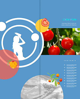PSD 템플릿 편집 표지디자인 북디자인 출판디자인 여자 열매 실루엣 내지 음식 리플렛 다이어트 2단접지 북커버 방울토마토 단면 팜플렛 상반신 성인 운동 물병 아스파라거스 야채볶음 이미지템플릿 식물 토마토 채소 촬영기법 건강 사람 물통 볶음 파일형식
