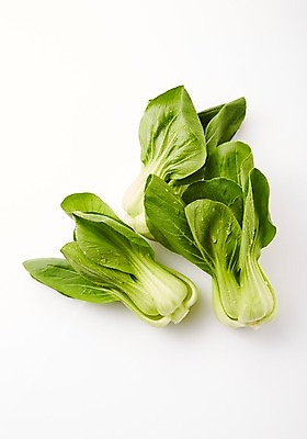 포토 JPG 스튜디오촬영 채소 실내 사람없음 두개 물방울 신선 청경채 국내포토 2 내부 파일형식