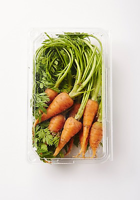 포토 JPG 스튜디오촬영 채소 실내 사람없음 여러개 당근 신선 플라스틱통 국내포토 다수 뿌리채소 통 내부 플라스틱 파일형식